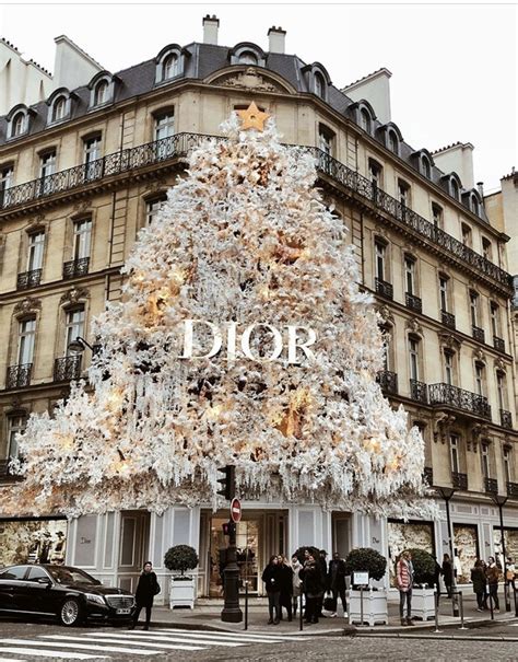 Dior Christmas Decoration 